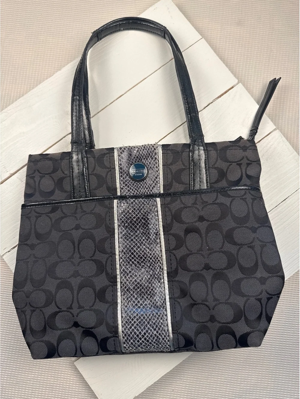 Y2K coach python stripe bag